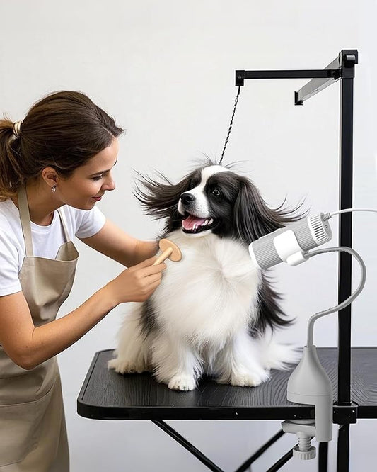 L&W BROS. 2-in-1 Pet Hair Dryer with Clamp Stand – Wearable & Hands Free Dog Grooming Dryer, 950W Low Noise Blower with 5 Heat & 3 Speed Settings, for Small to Medium Pets (White)