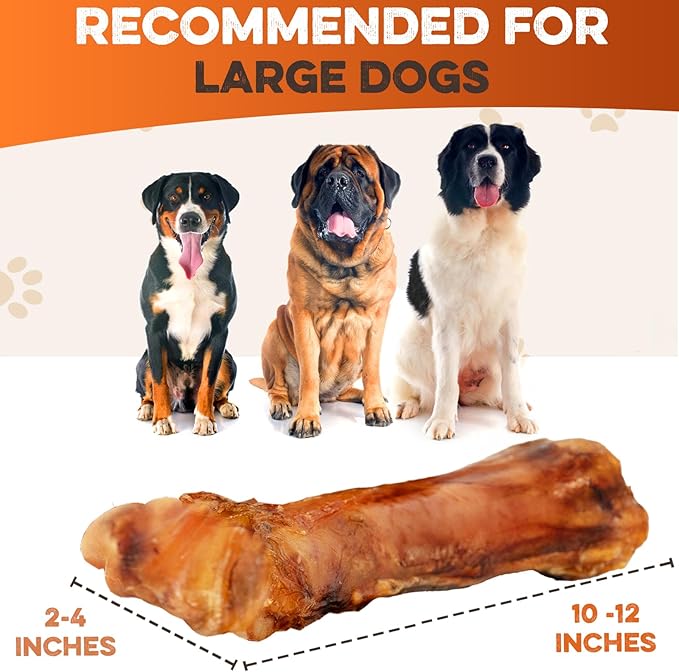 BRUTUS & BARNABY Shin Bones for Dogs – 100% USA-Sourced Beef Bones – Long-Lasting Chew for Large Breeds and Aggressive Chewers – Natural, High Protein, Dental Health Support, (3-pk) – Made in The USA