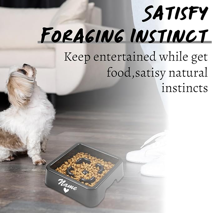 Personalized Slow Feeder Bowl for Dogs & Cats - Custom Name, Non-Slip Bottom, Easy to Clean, Puzzle Food Dish for Puppy & Kitten, Small & Medium Pet Bowls & Plates（Square）