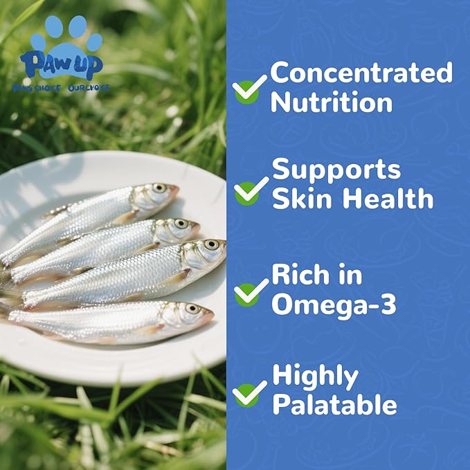 PAWUP Freeze Dried Minnows Dogs Treats – 100% Raw Single-Ingredient Pet Fish Snacks – Rich in Omega-3, Grain-Free – Healthy Training Rewards & Meal Toppers, 2.8 oz