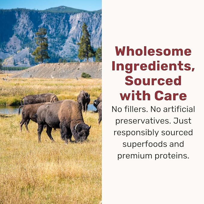 BADLANDS RANCH Superfood Nuggets – Freeze-Dried Raw Dog Treat & Food Topper, Nutrient-Dense Bison & Kale Formula, High Protein, No Artificial Additives, 8oz Bag