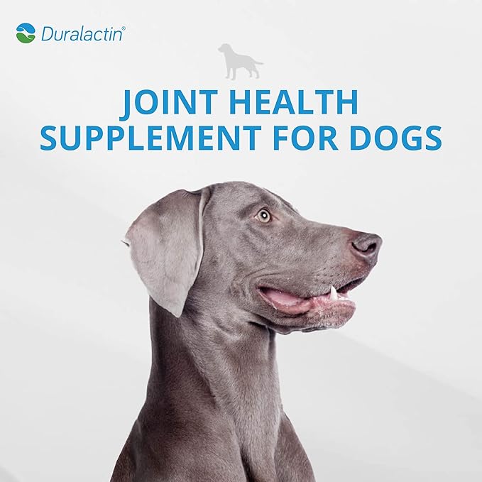 PRN Pharmacal Duralactin Canine Joint Plus - Joint Health Supplement for Dogs & Puppies to Support Healthy Cartilage Levels & Joint Function While Helping Manage Soreness - 60 Soft Chews
