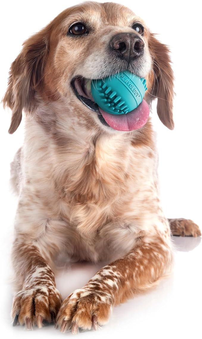 Playology Dog Toys | Dental Chew Ball Gentle on Gums | Medium Peanut Butter Scented Toy - Easy to Clean and Made from Non Toxic Materials