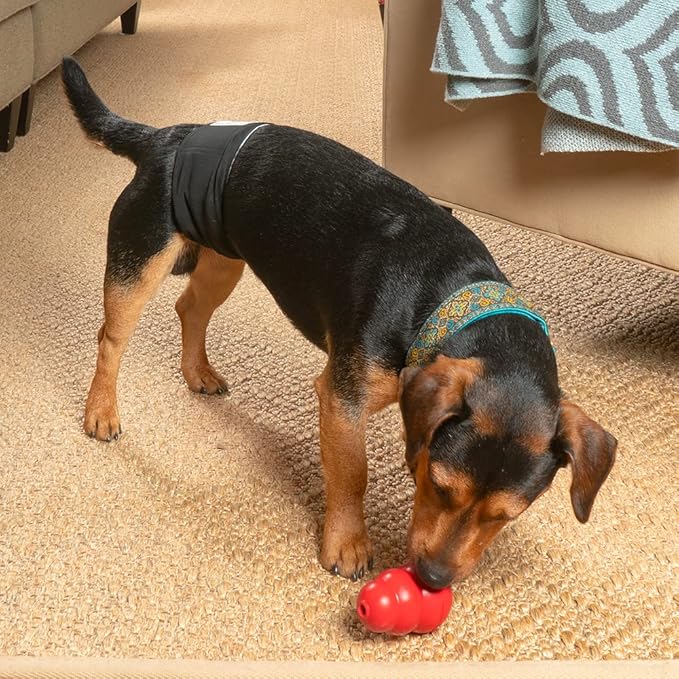 Pet Parents® Washable Belly Bands for Dogs (3pack) + Extendrs® Durable Dog Diapers - Premium Male Dog Diapers & Wraps (X-Small, Black)