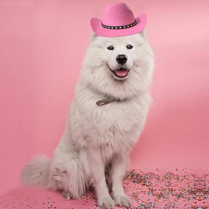 Dog Cowboy Hat Cat Cowboy Hat Pet Cowboy Costume Mini Cowboy Hat for Dogs Cat Holiday Halloween Pet Party Decoration (Pink, Large)
