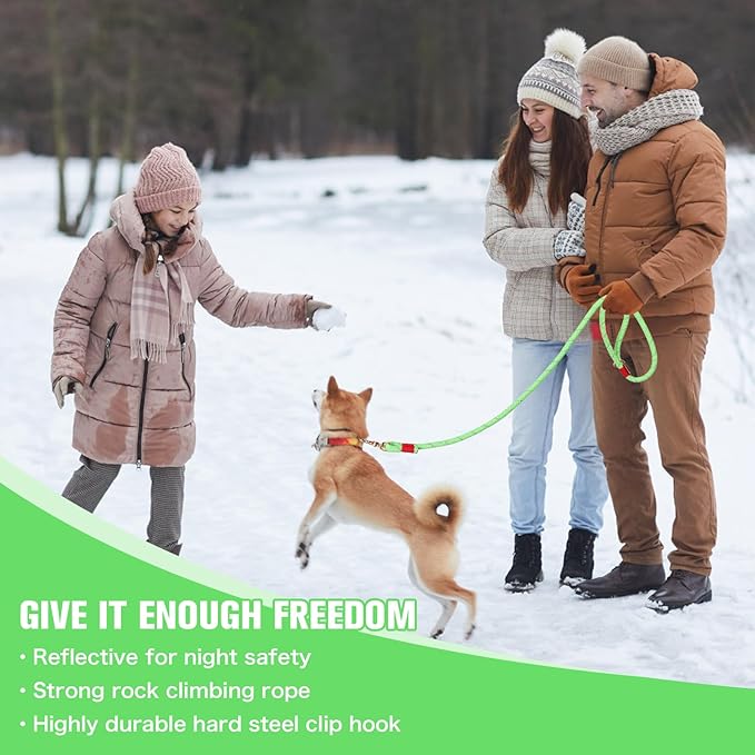 Nylon Rope Dog Leash Reflective, Handmade Braided Strong Dog Lead, Heavy Duty Rope Leash for Medium Large Dogs (5 FT - 3/5" Green)