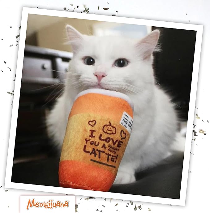 Meowijuana Refillable Cat Toys | Get Spooked - Pumpkin Spice Latte Catnip Toy | Includes Potent Hand Harvested Catnip Grown in North America | Promotes Play and Cat Health