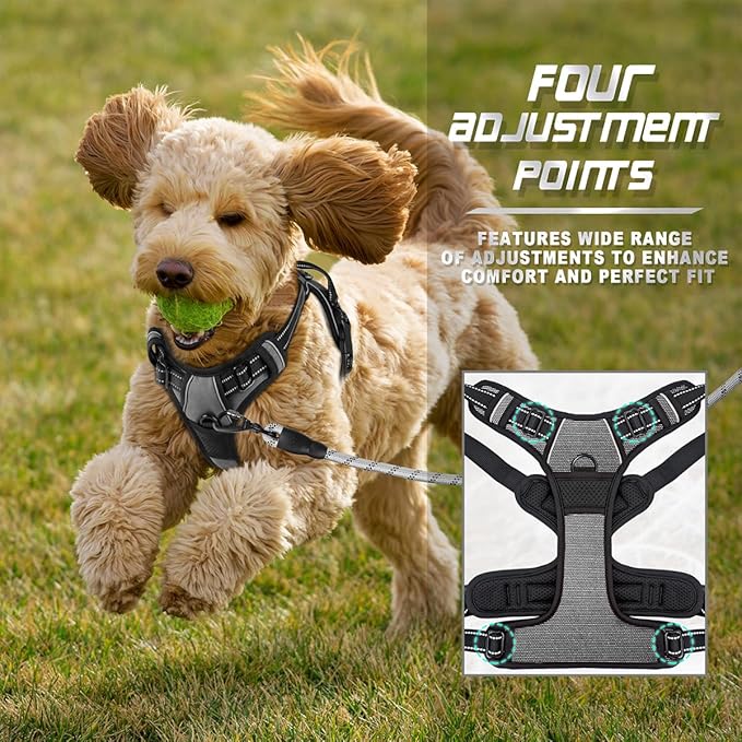 BARKBAY No Pull Dog Harness Front Clip Heavy Duty Reflective Easy Control Handle for Large Dog Walking(Dark Grey,XS)