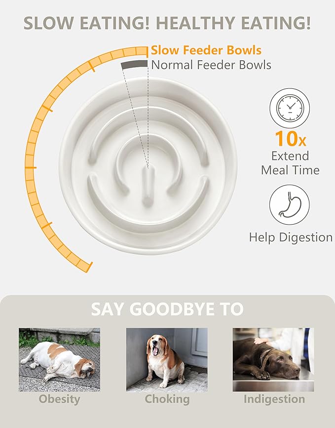 Ceramic Slow Feeder Dog Bowls, 0.6 Cup Slow Feeder for Small Dogs and Cats, Puzzle Maze Bowl, Prevents Choking, 6in, White