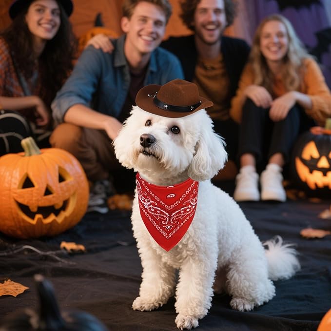 PUPTECK Paisley Dog Bandana Outfit Scarf with Cute Doggy Cowboy Hat, Halloween Costume Decorations Supplies for Small Medium Large Dogs Boy Girl Gifts, Brown & Red