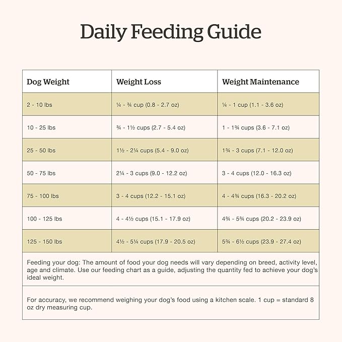 Now Fresh Grain-Free Senior Dry Dog Food with Turkey, Salmon & Duck, Premium Kibble Made with Real Meat & Fish, Chicken-Free Recipe, Glucosamine & Chondroitin for Healthy Joints, 22 lb Bag