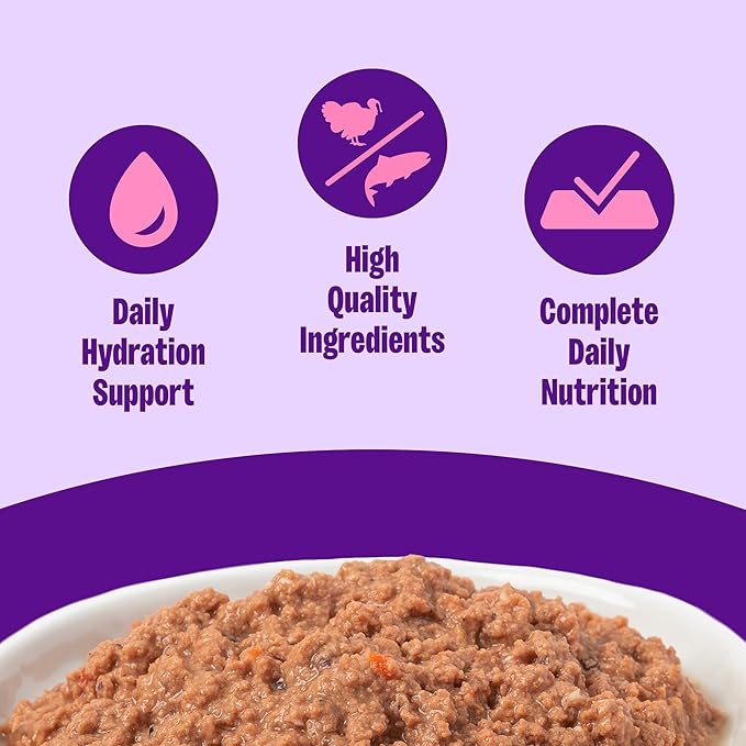 Wellness Complete Health Pate Adult Wet Cat Food, Natural, Protein-Rich, Grain Free, 3 Ounce, 24 Pack, (Turkey & Salmon)