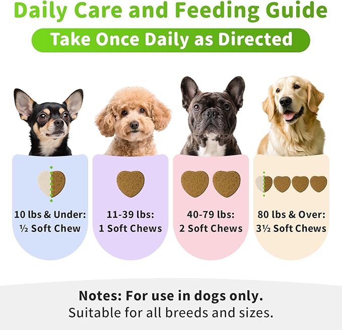 Dog Liver Support Chews - with Milk Thistle (Silybum), Same & NAC - Liver Supplement for Metabolic - Detox - Gut & Immune Health - Beef Flavor, 90 Soft Chews