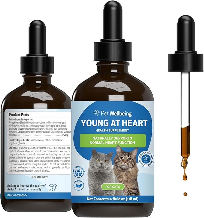 Pet Wellbeing Young at Heart for Cats - Senior Feline Heart Health Support, Cardiovascular Wellness & Vitality - NASC Certified & Vet-Formulated - 4 oz Liquid Formula