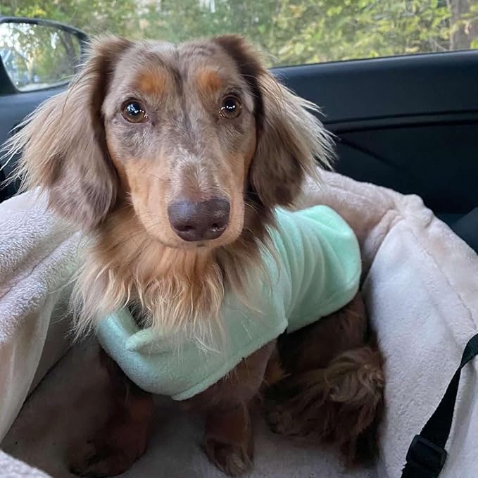 JACKO & CO - Fleece Vest Dog Sweater with Leash Ring - Soft, Warm & Lightweight Pullover Coat for Small & Medium Dogs, Puppies & Cats - Cozy Fall/Winter/Spring Pet Jacket (Mint Green, XL 17-25lbs)