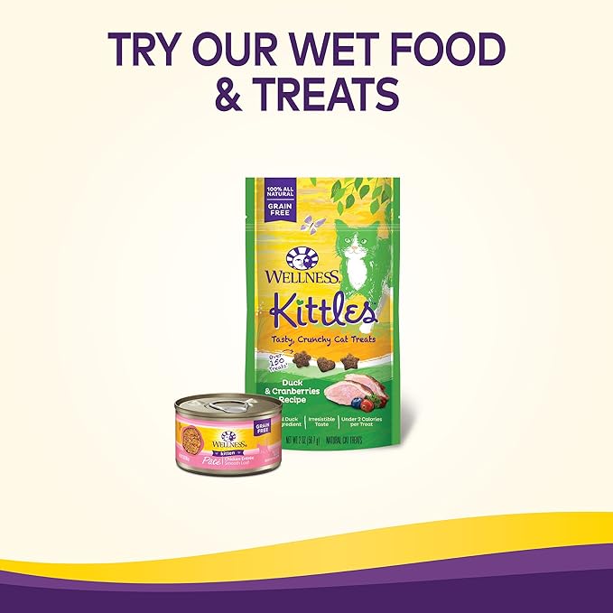 Wellness Natural Pet Food Complete Health Natural Grain Free Deboned Chicken & Chicken Meal Dry Kitten Food, 5.5 Pound Bag (Pack of 2)