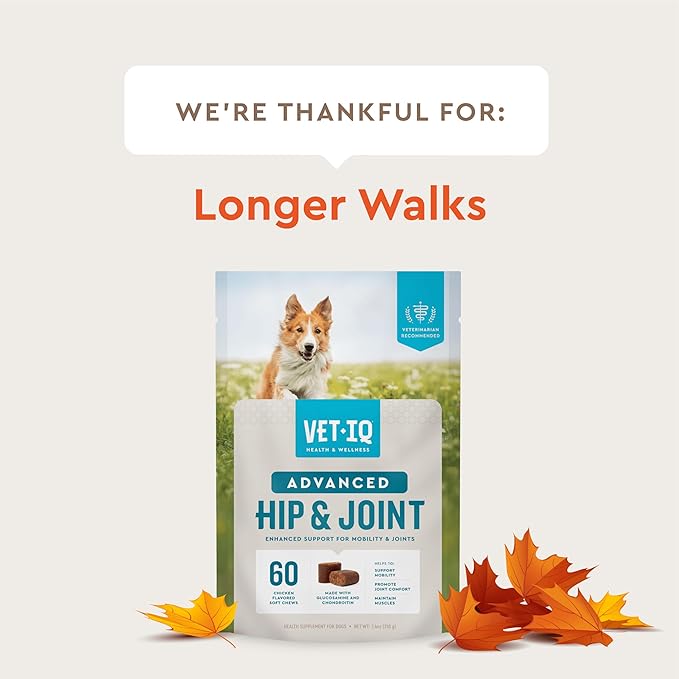 VetIQ Advanced Hip & Joint Chews For Dogs, 60 Count, Chicken Flavored Supplements Made with Glucosamine, Omega 3’s, Chondroitin, MSM & Green Lipped Mussel, Increases Mobility & Maintains Muscles
