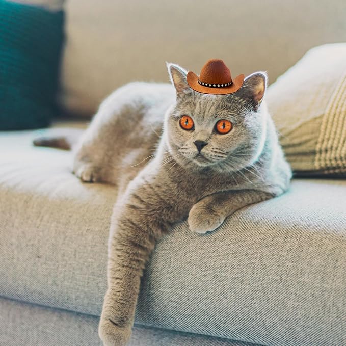 Dog Cowboy Hat Cat Cowboy Hat Pet Cowboy Costume Mini Cowboy Hat for Dogs Cat Holiday Halloween Pet Party Decoration (Brown, Small)
