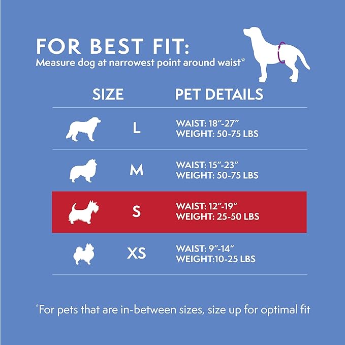 Simple Solution Disposable Dog Diapers Wraps for Male Dogs, True Fit, Absorbent, Leak Proof with Wetness Indicator, Puppy and Doggie Diaper for Peeing, For Small Pets, 12 – 19 Inch Waist, 12 Count