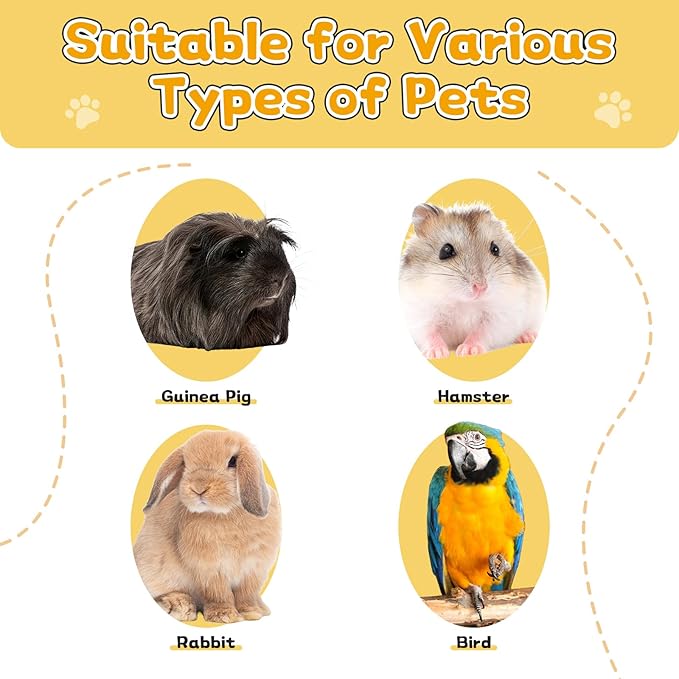 4-Pack Stainless Steel Cat Bowls for Food and Water, Shallow Whisker Friendly Non-Slip Silicone Bottom Dishes, Easy to Clean Indoor Feeding Kitten Metal Plate (5.9")