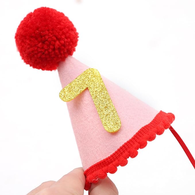 Pet Birthday Hat with Interchangeable Numbers 1-10 | Adjustable Pet Party Cone Hat for Dogs & Cats | Puppy Birthday Photo Props for 1st to 10th Birthday Celebrations (Red Pink Birtgday Pet Hat)