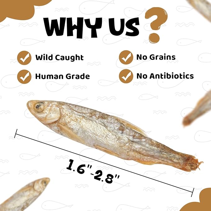 Minnows - Freeze Dried Minnows Dogs & Cats,100% Natural Single Ingredient Training Treats, Premium High Protein Snacks, Grain Free, 4 oz