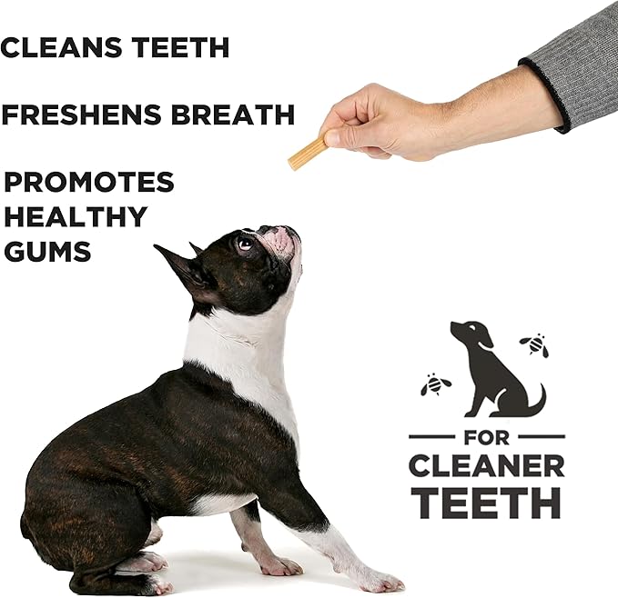 Hive Chew Stick Treats for Small Dogs Ñ Healthy, Non-GMO Project Verified, Natural Peanut Butter Flavored, Natural, Vegetarian Chews, Made in The USA (Chew Sticks, Small Breeds)