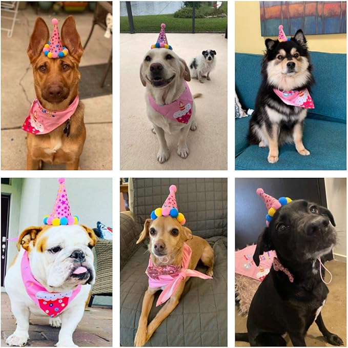 ADOGGYGO Dog Birthday Bandana Scarf and Dog Girl Birthday Party Hat with Cute Bow Tie for Medium Large Dog Pet (Large)