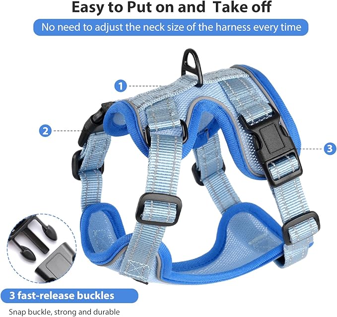 Rttochfy Cat Harness and Leash Set, Adjustable and Reflective Cat Vest, Escape Proof Kitten Harness, Easy to Put on with 3 Buckles for Cats Walking and Traveling (Blue, L)
