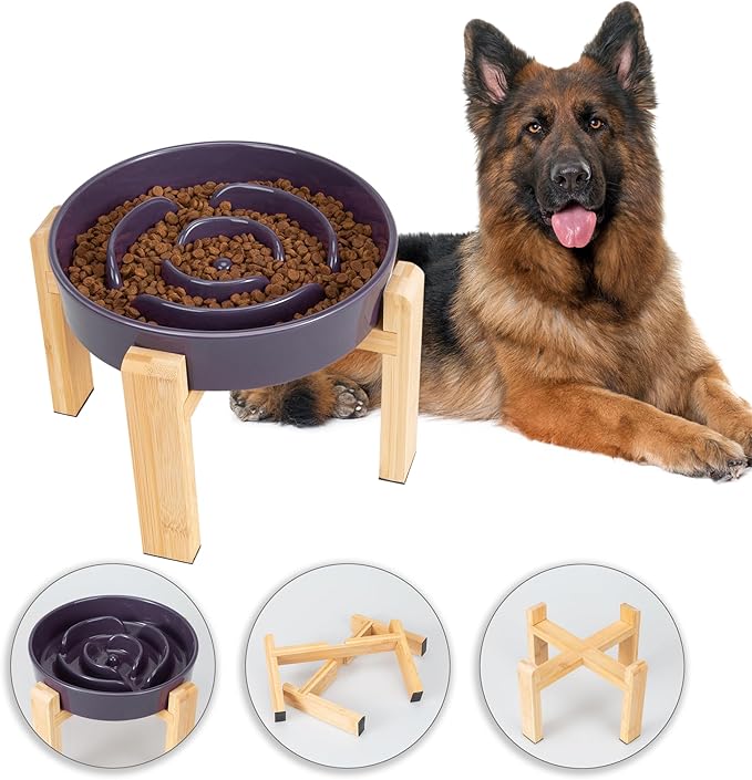 Elevated Slow Feeder Dog Bowl - Puzzle Maze Dish with Bamboo Stand - Raised Ceramic Food Bowl for Medium and Large Dogs - 8.8 Inch - Purple