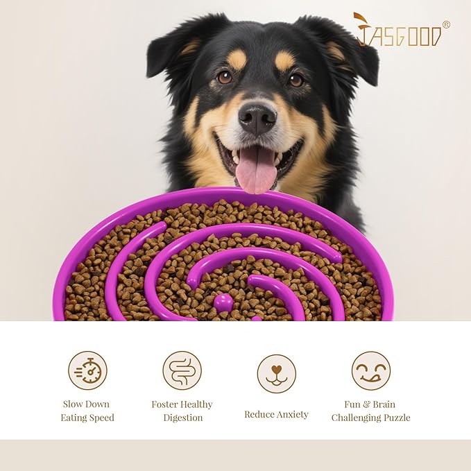 JASGOOD Slow Feeder Dogs Bowl for Large Medium Dogs,Anti-Gulping Pet Slower Food Feeding Bowls Stop Bloat,Preventing Choking