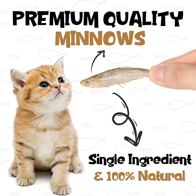 Minnows - Freeze Dried Minnows Dogs & Cats,100% Natural Single Ingredient Training Treats, Premium High Protein Snacks, Grain Free, 4 oz