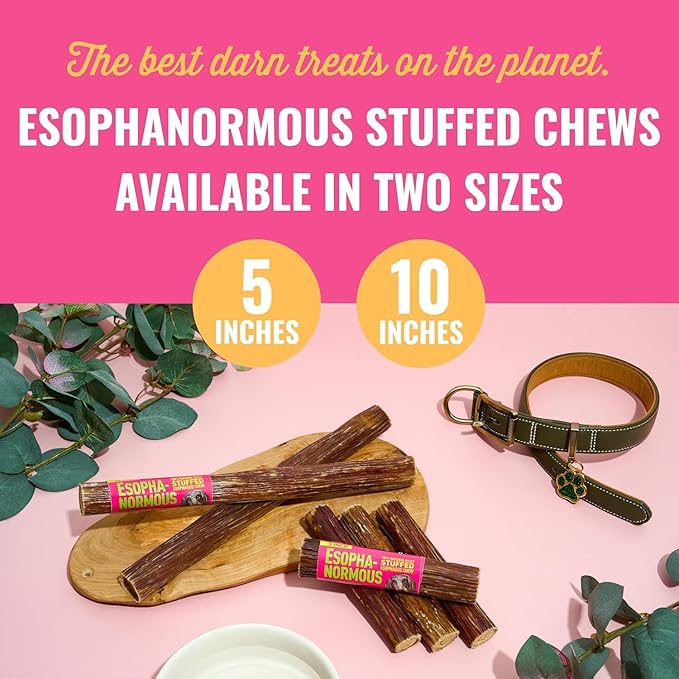 etta says! Esophonormous Esophagus Stuffed Bully Sticks for Dogs - Made in The USA with All Natural, Limited Ingredients - High Protein Dog Chew - 10", 3 Packs