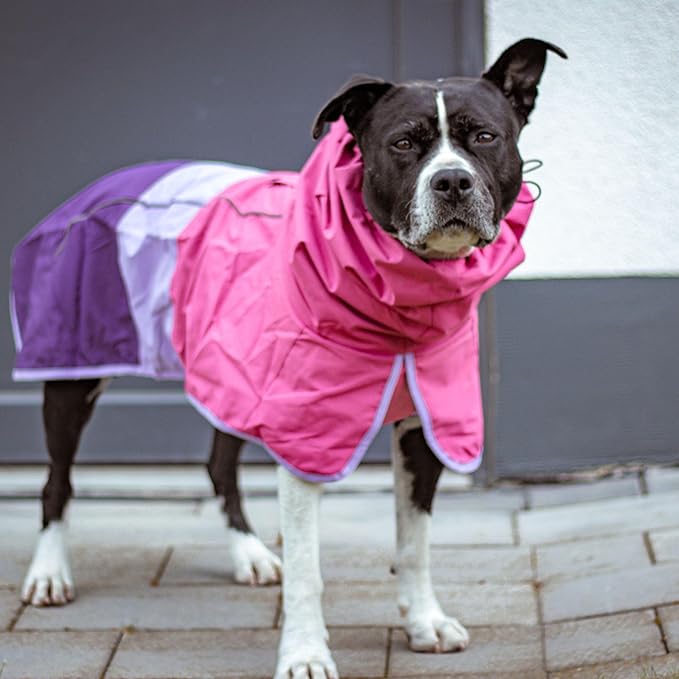 Spark Paws Dog Raincoat, Waterproof Windproof Rain Jacket, for Small Medium Large Extra Large Dogs, Reflective Breathable Full-Body Coverage Dry Suit - Pink Lilac Purple - 4XL