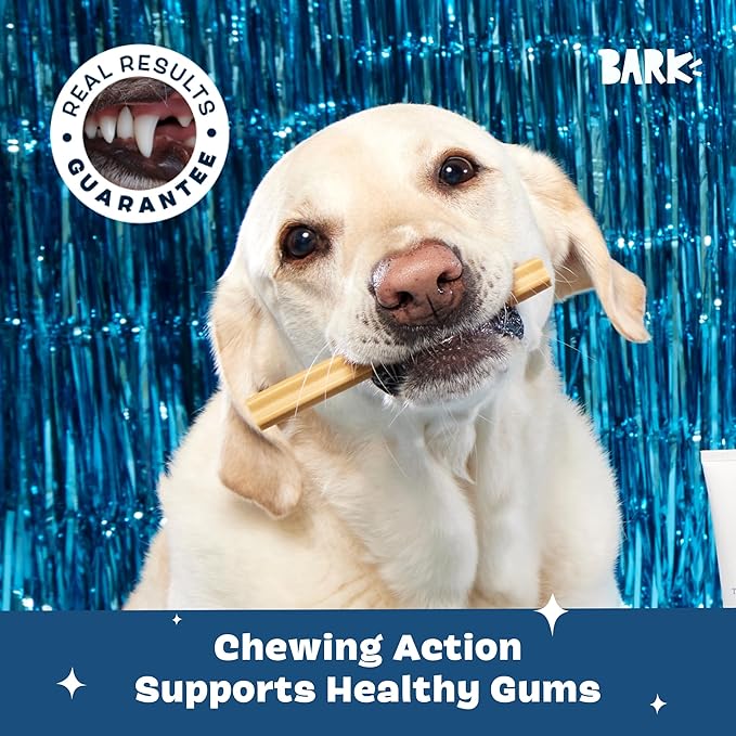 Barkbox Bright Original Dog Dental Chew Sticks Plaque and Tartar Cleaning, Large Breeds, 2X 15 Count Bags - (30 Chews)