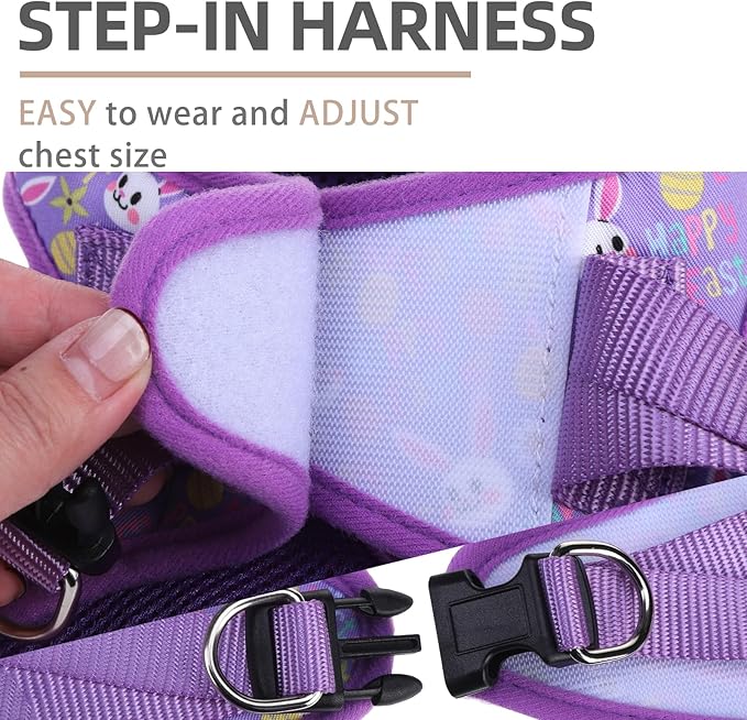 PUPTECK Adjustable Dog Harness Collar and Leash Set Step in No Pull Pet Harness for Small Medium Dogs Puppy and Cats Outdoor Walking Running, Soft Mesh Padded Reflective Vest Easter Harnesses