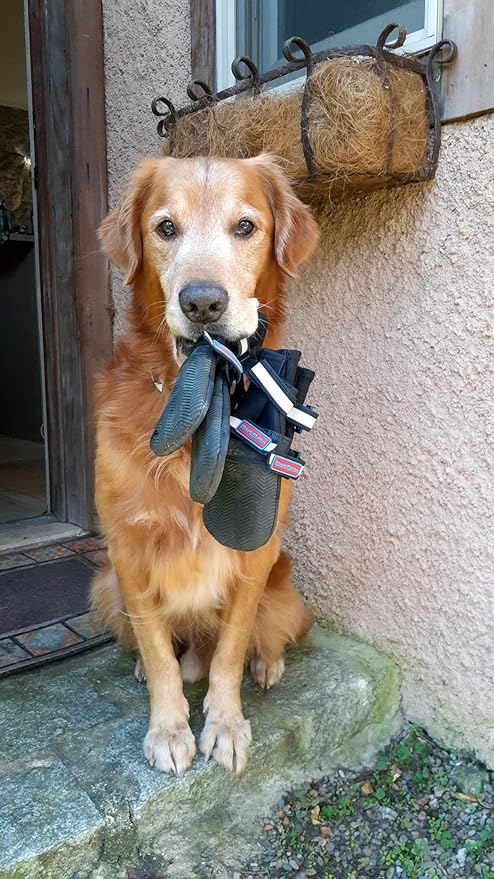 All Weather Neoprene Paw Protector Dog Boots with Reflective Straps in 5 Sizes! (Black Medium)