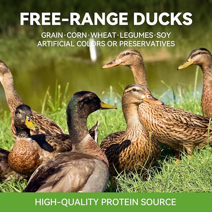 OPET Freeze Dried Cat Treats - Single Ingredient High Protein Pet Food, Healthy Training Snacks, Freeze Dried Duck Food Toppers for Cats and Dogs, Grain Free (Duck, 4 Pack)