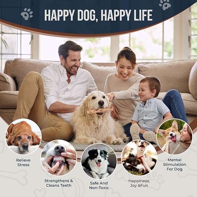 Coffee Wood Chew Toys for Dogs - 100% Natural Toys - Dog Wood chew Stick for Extra Large Chewer Over 99 lbs - 2 Pack - Teeth Cleaning, Stress Relief - Organic Toy