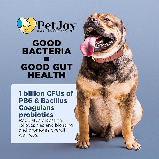 PetJoy Dog Probiotic Chews for Digestive Health - Puppy Diarrhea Probiotics for Dog Gas Relief and Gut Health - Digestive Enzymes for Dogs Diarrhea (60 Probiotics for Dogs Fiber Supplements)