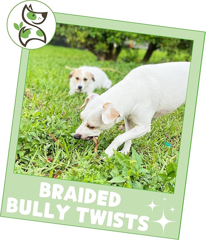 Nature Gnaws Braided Bully Twists for Dogs 5-6" (10 Count) - Long Lasting for Small and Medium Dogs - Natural Beef Dog Chew Bones