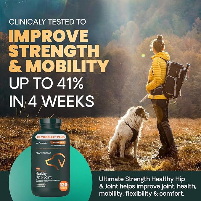 VetriScience Ultimate Strength Hip & Joint Supplement for Dogs, GlycoFlex Plus – MSM, Chondroitin & Green-Lipped Mussel Chews for Mobility, Flexibility, Comfort & Support, Chicken Flavor, 120 Cnt
