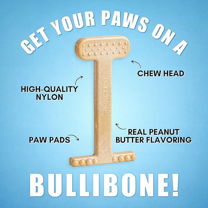 Bullibone Nylon Dog Chew Toy Nylon Bone - Improves Dental Hygiene, Easy to Grip Bottom, and Permeated with Flavor (Peanut Butter, XL - 3 Pack)