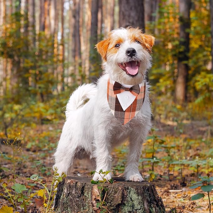 ADOGGYGO Fall Dog Tuxedo Bandana, Orange Plaid Pet Fall Collar with Bowtie, Adjustable Halloween Thanksgiving Costume for Extra Small Dogs (XS)