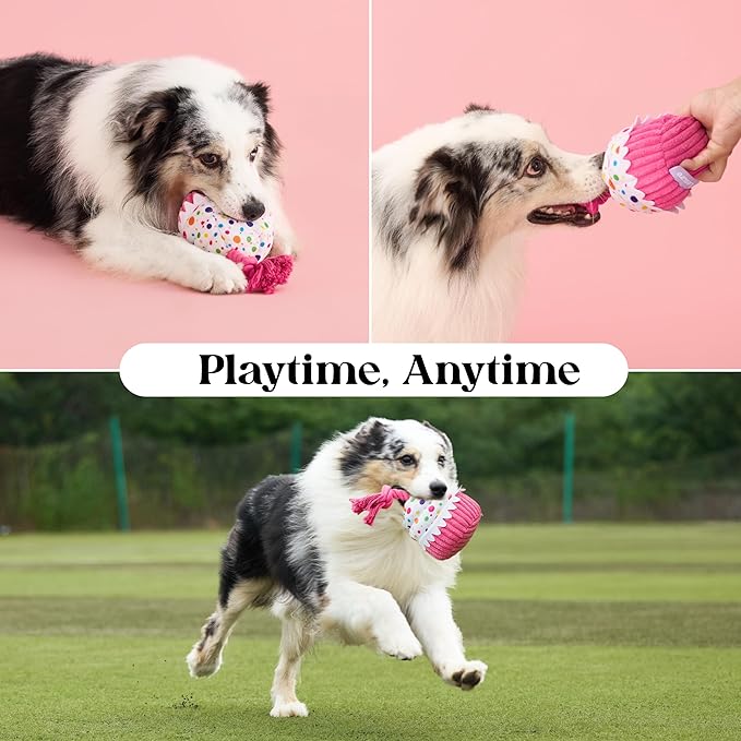 LE SURE Dog Birthday Cake Toy - Cute Dog Birthday Cake Squeaky Toy with Interactive Tug Rope, Interactive Chew Toy for Puppy Birthdays Party & Daily Play, XSmall, Pink