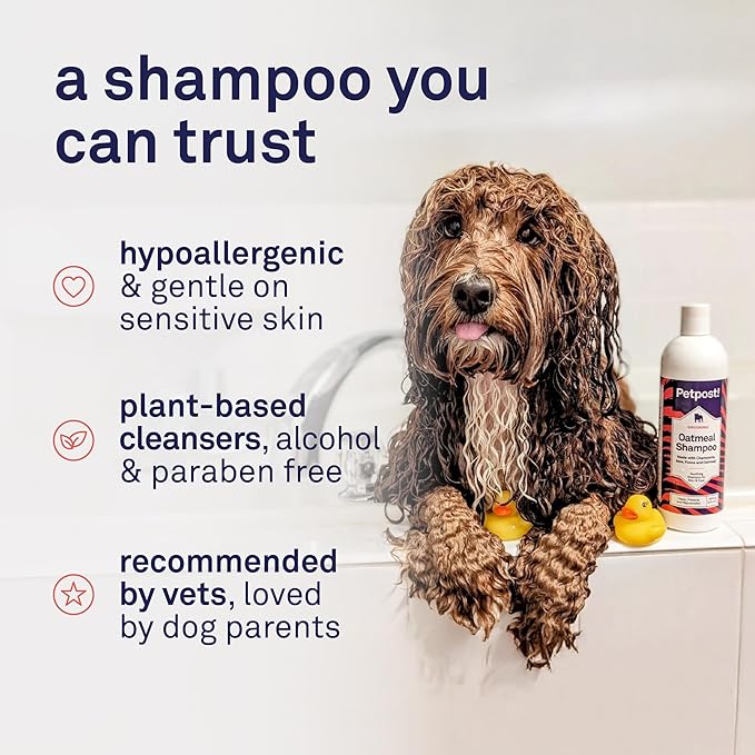 Petpost | Oatmeal & Chamomile Dog Shampoo. Soothes Dry, Sensitive Skin, Moisturizes & Softens Coat with Aloe & Yucca. 8 oz