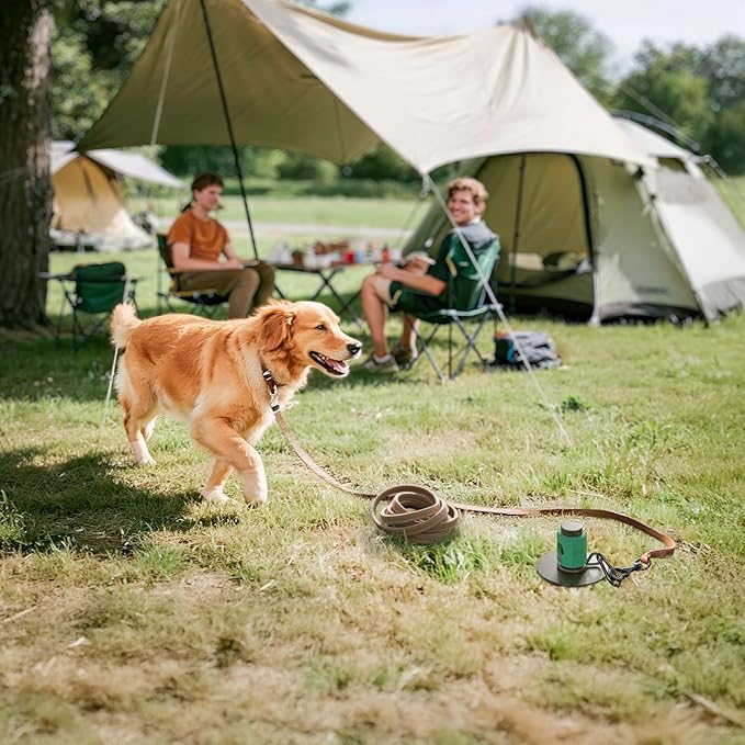 FXW ROOTIE Heavy Duty Dog Tie-Out Stake, Dog Anchor for Yard, Camping, Spiral Ground Design with 360° Swivel Ring for Large Dogs up to 250lbs │ Works with Dog Cable, Leash or Tether│Patent Pending