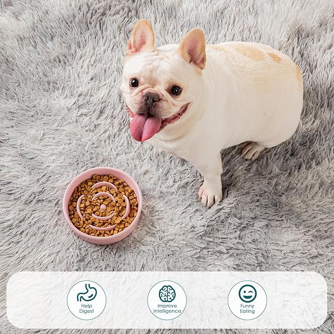 vancasso Slow Feeder Dog Bowl, 0.6 Cups Ceramic Dog Food Dish for Fast Eaters Small Breed, Puzzle Bowl for Small Dogs and Cats, Pink
