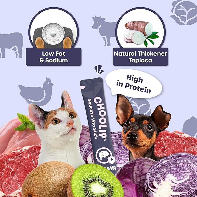 Choolip Squeeze Vita Stick Lickable Cat Treats & Dog Puree – 49-Count Brain Support Tubes, Creamy Grain-Free High-Protein Puree with DHA, Omega 3 & Vitamin B12 for Memory & Cognitive Health