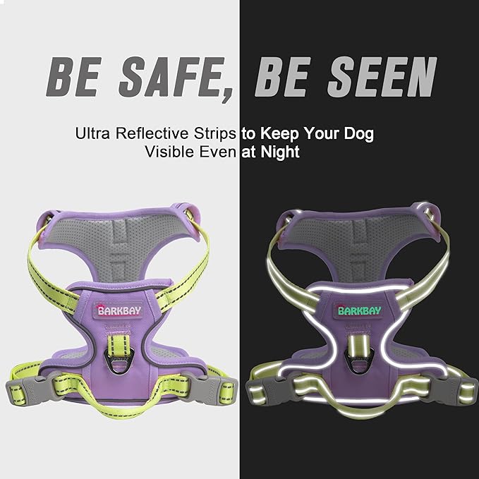 BARKBAY No Pull Dog Harness Front Clip Heavy Duty Reflective Easy Control Handle for Large Dog Walking(Violet Purple & Sunlight,M)